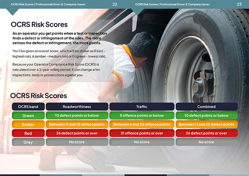 Professional Driver and Company Issues - Image 5